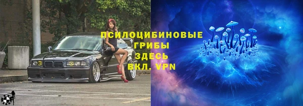 спиды Волосово