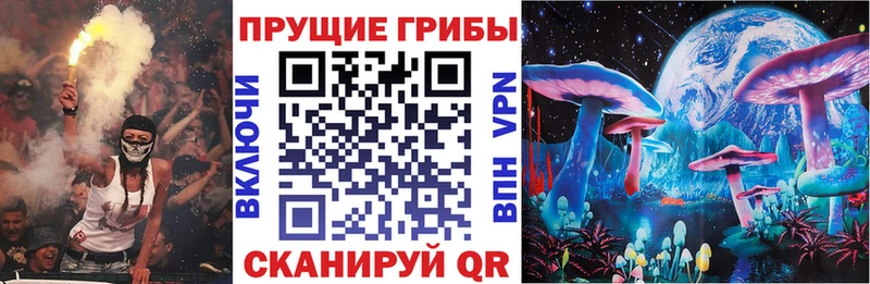 Купить  Калачинск  Псилоцибиновые грибы Psilocybe 