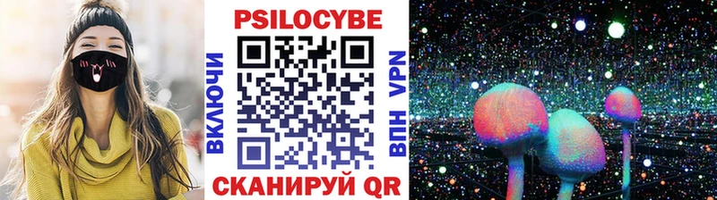 Псилоцибиновые грибы Psilocybe Калачинск